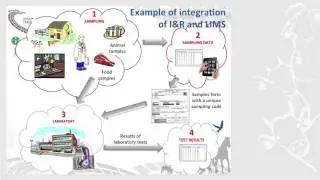 Animal Identification and Recording for animal disease prevention and control