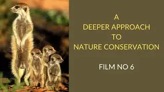 A Deeper Approach To Nature Conservation.  Film No 6: What Can I Do To Make A Real Difference?