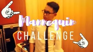 THE MANNEQUIN CHALLENGE// 5A SMK SUNGAI TAPANG 2016