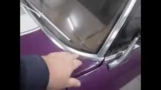 Fish Oil my car...