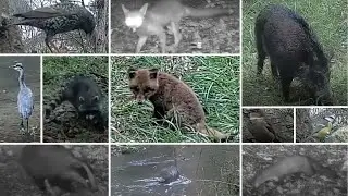 ЛУЧШИЕ ВИДЕО 2024 года | BEST OF