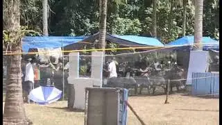 Mask Down Mask Down Go Go Go Go Team JAT (Jimenez Airsoft Team)