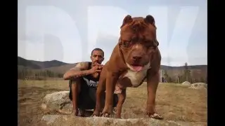 DDKLINE FAMILY VLOG#9 HULKS BLUE SON 