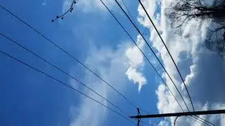 Angel's with Trumpets, horse in clouds