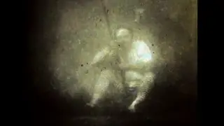 Louis Boutan's underwater photos