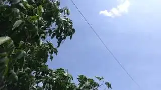 42 m longwire antenna 27MHz