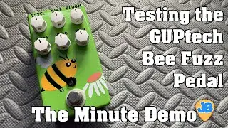 * The Minute Demo * GUPtech Bee Fuzz Pedal | Boss Katana Amp clean channel