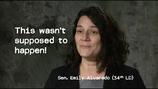 My Ethics Complaint against Senator Emily Alvarado - Her illegal actions and what's next...