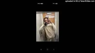 Bpgmurda - FreeFish (Offical audio)