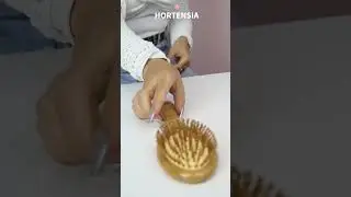 Cepillo de pelo