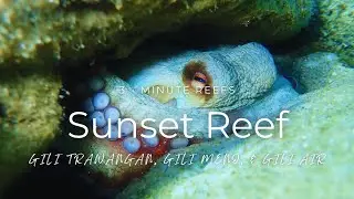 3-Minute Reefs: Sunset Reef (Gili Islands) #3minutereefs #giliislands #scubadiving