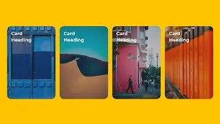 CSS Card Design - Animation Card Design -  CSS Hover Effects - CSS Tutorial | FreeWebsiteCode