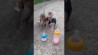 Cherry monkey chooses the bigger vase,😋🍼