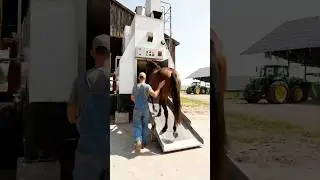 🐎Dual Harvest: Automated Horse-to-Meat & Bone Production Line