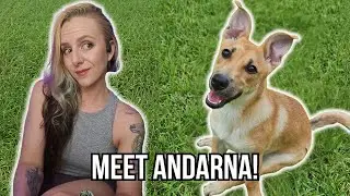 Meet Andarna! | May 26th VOD