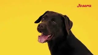 Josera Hellas | Super Premium Petfood