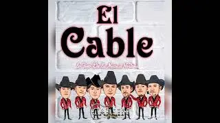Huapango Del Cable (HNOS CARLIN 🎷 Contrataciones 4778693387