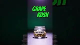 Grape Kush Wax (Sativa) &ndash; Roll One at Trulieve