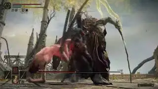 Elden Ring - Morgott the Omen King - No Damage/Sem Levar Hit [Solo/Melee]