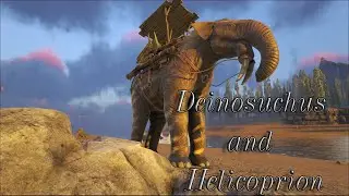 ► How to tame / Как приручать. Мод: ARK: Additions. Deinotherium & Helicoprion
