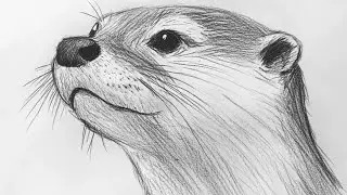 Easy animal's drawing || How to draw animal @artstyle2.o #drawing #art 