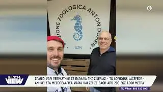 &Sigma;&pi;ά&nu;&iota;&omicron; &psi;ά&rho;&iota; &xi;&epsilon;&beta;&rho;ά&sigma;&tau;&eta;&kappa;&epsilon; &sigma;&epsilon; &pi;&alpha;&rho;&alpha;&lambda;ί&alpha; &tau;&eta;&sigmaf; &Sigma;&iota;&kappa;&epsilon;&lambda;ί&alpha;&sigmaf; - &Tau;&omicron; Lophotus lacepede &zeta;&epsilon;&iota; &sigma;&epsilon; &beta;ά&theta;&eta; 200 έ&omega;&sigmaf; 1.000 &mu;