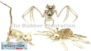 3 Halloween Animal Skeleton Bones Prop Party Decoration Rat Spider Bat SET
