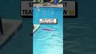 Lifeguard&rsquo;s noodle rescue goes wrong 😂🤦                           🎥: Collab