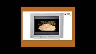 Pogo Tv Old Commercial break