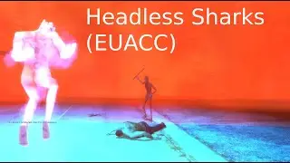 Headless Sharks (EUACC)