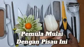 Pemula Mulai dari Pisau Ini