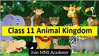 Animal Kingdom One Shot/Class 11 Biology Chapter 4 / Join MNS Academy