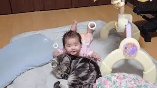 楽しいお食事
