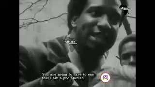 Black Movement
