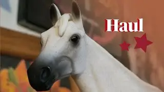 ★(Очень поздно) Распродажа в Черную пятницу и к Рождеству!!★
