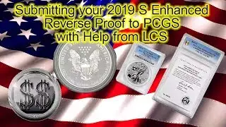 2019 S Улучшенная обратная проверка ASE Подача в PCGS с помощью LCS HELP!