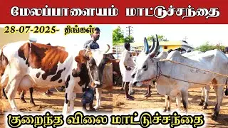 28-07-2025/ மேலப்பாளையம் மாட்டுச்சந்தை திருநெல்வேலி மாவட்டம் 