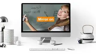 TeamLink Mirror My Video