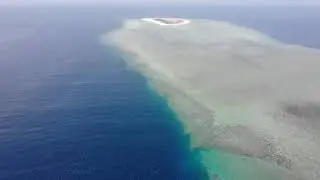 Nuotiamo tutte insieme allegramente