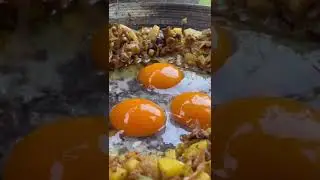 DIGI Goose Egg Recipe. #goose #egg #eggrecipe #nature #cook #cooking