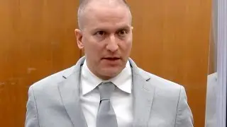 Derek Chauvin appeals his conviction for George Floyd's murder