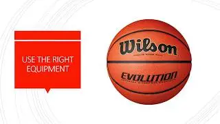 The Wilson Evolution Game Ball