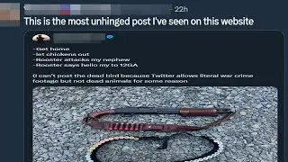 Another Insane Day on Twitter