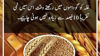 Wheat Storage Important Instructions