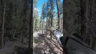 Colorado Off-Grid Cabin and Property Tour