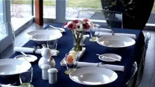TELIS Firmenpraesentation 2009