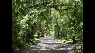 Tour Coastal Living of Pawleys Island, South Carolina.