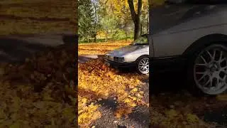 Static Passat b3 autumn. Статичный пассат б3 в стиле стенс #automobile #пассат #б3 #passat