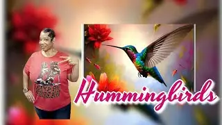 Hummingbirds + Vlogging #prayerwarriors #creatorstruggles #contentcreator #prophetessvernalondon 