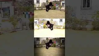 Support this channel one like for India talent🙏  #flipjump #flip #shortsyoutube #youtubeshorts